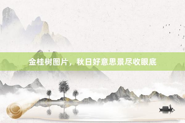 金桂树图片，秋日好意思景尽收眼底